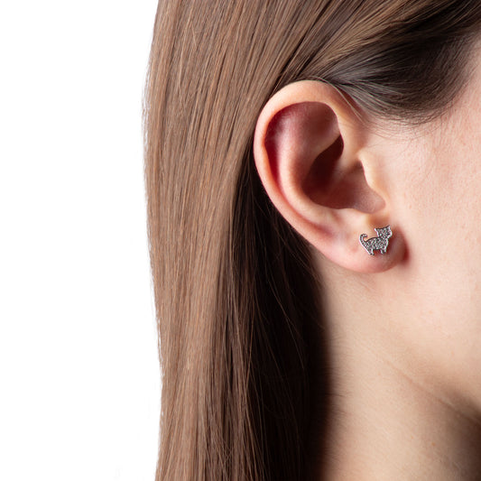 RODIATO