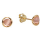 PLACCATO | ROSA